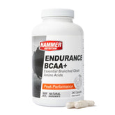 Endurance BCAA+ - Hammer Nutrition CEE