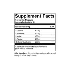 Endurance BCAA+ - Hammer Nutrition CEE