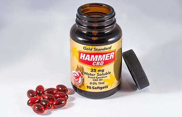 A Hammer CBD nagyszerű felszívódásának titka! - Hammer Nutrition CEE