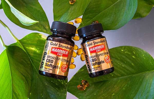 A Hammer széles spektrumú CBD-je minden drogteszten átment - Hammer Nutrition CEE