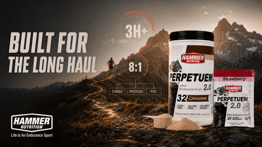 Miért tartalmaz a Perpetuem a szénhidrát mellett növényi fehérjét és zsírt is? - Hammer Nutrition CEE