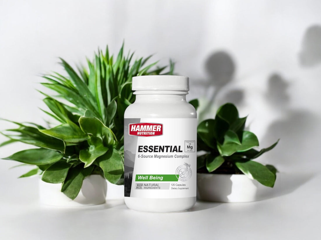 Ne csak pótold a magnéziumot – hasznosítsd is! - Hammer Nutrition CEE