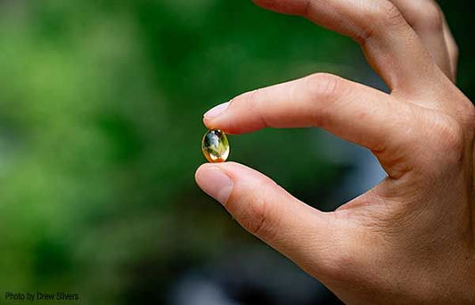 Omega 3 zsírsav, amely biztosítja az egészséges időskort - Hammer Nutrition CEE