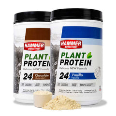 Plant Protein